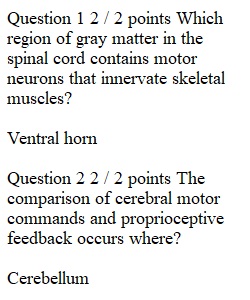 Week 15 Unit Exam 5